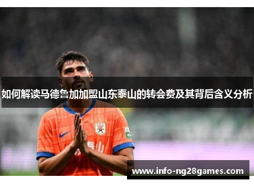 如何解读马德鲁加加盟山东泰山的转会费及其背后含义分析