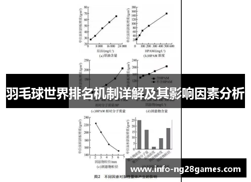 羽毛球世界排名机制详解及其影响因素分析