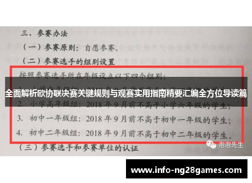 全面解析欧协联决赛关键规则与观赛实用指南精要汇编全方位导读篇